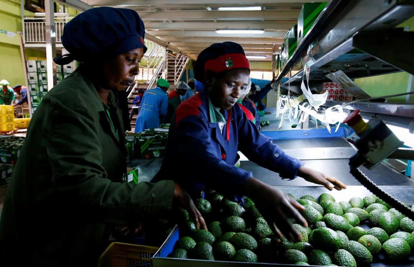 China expands tariff-free trade to 53 African nations