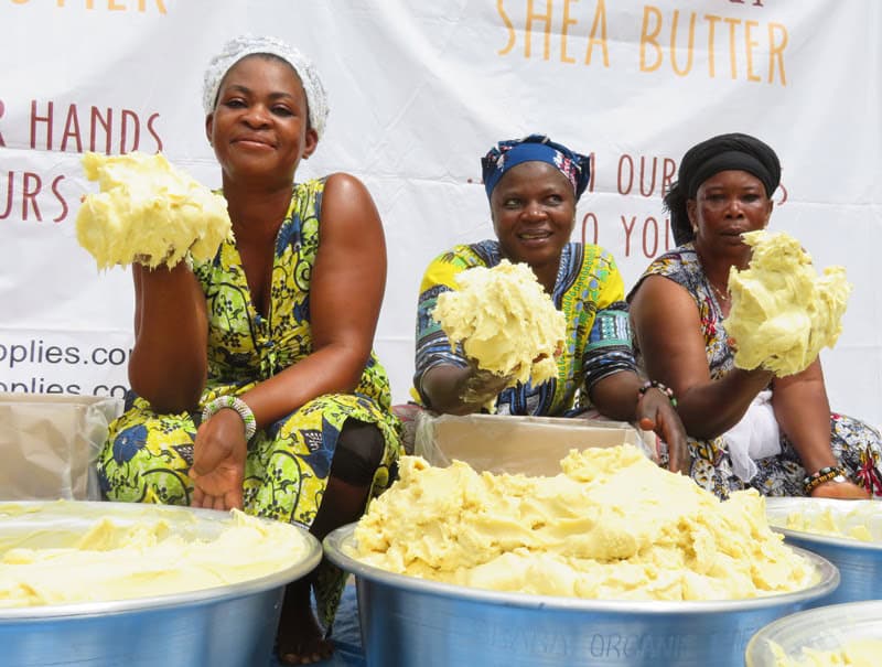 Nigeria reviews shea export ban amid industry pushback