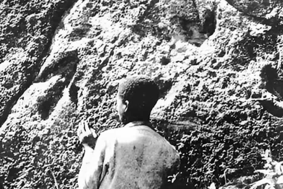 How indigenous knowledge helped shape fossil science