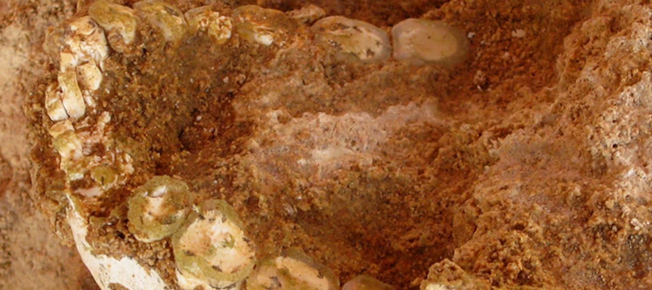Ancient Moroccan fossils reframe origins of modern humans Ancient Moroccan fossils reframe origins of modern humans