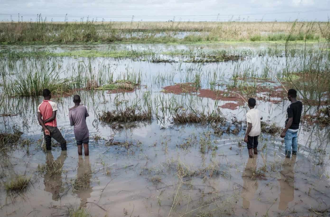 Flooded wetland with children exploring water and grass in a rural landscape.