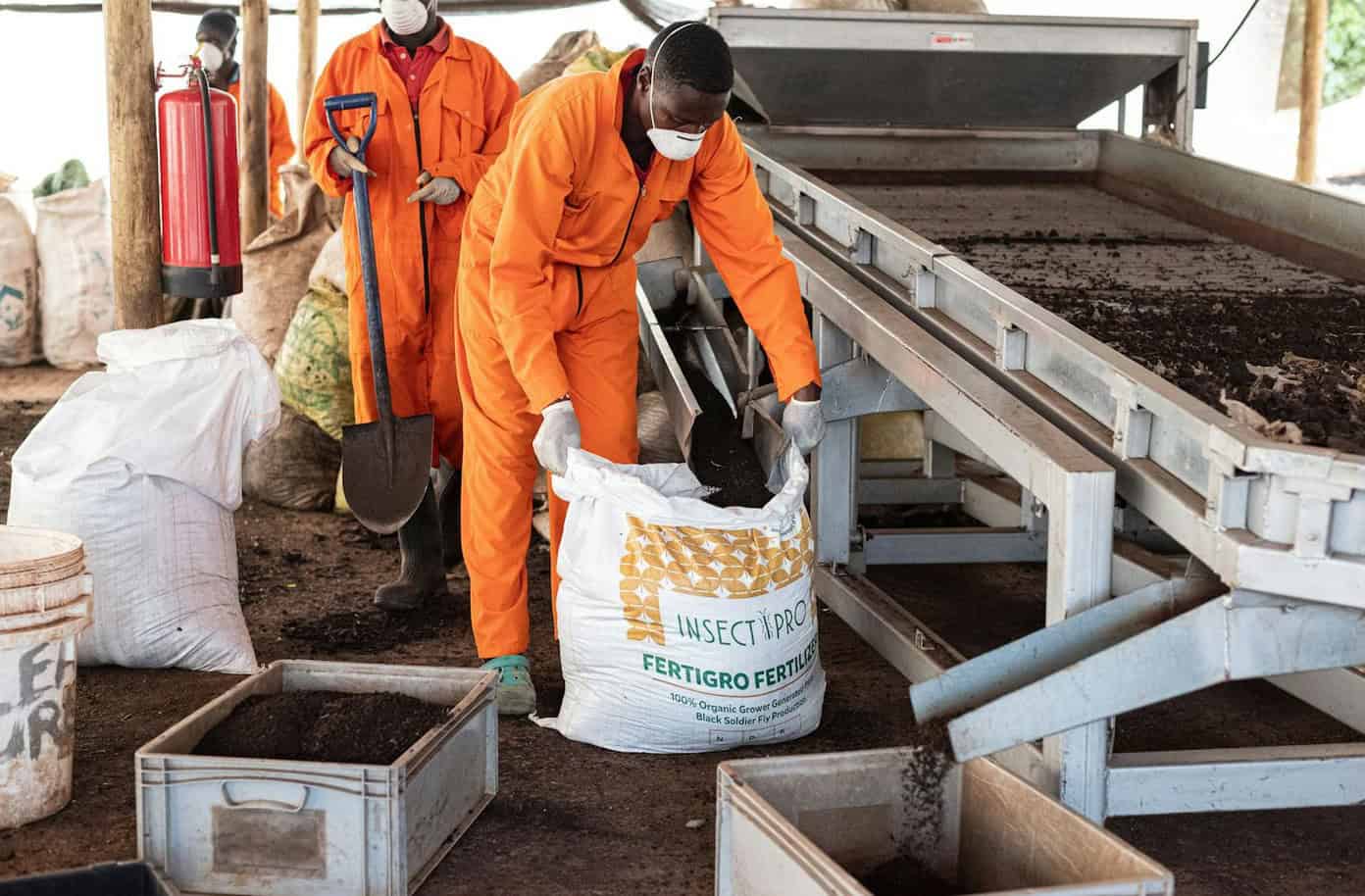 How Africa survive the ongoing fertilizer shortage