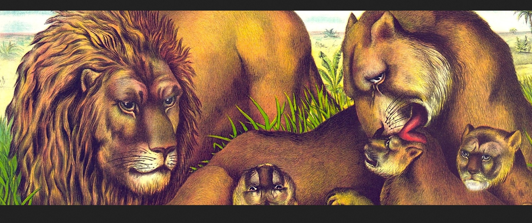 Cameroon Explores Ways to Protect Sacred Wildlife Species