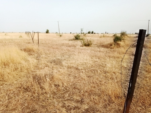 Desertification is causing land degradation in the Sahel