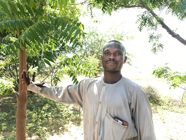 Jabiru-Muhammed-stands-beside-a-tree-planted-as-part-of-the-Great-Green-Wall-project-in-his-village-in-Jigawa-1