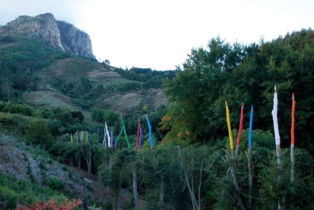 Vibrant colorful flags and natural scenery showcase innovative land art installation.