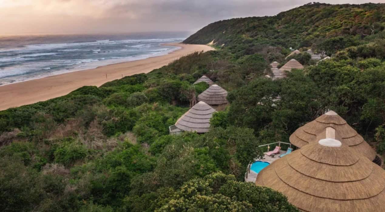 Eco-lodges with thatched roofs nestled in lush greenery by the beach.