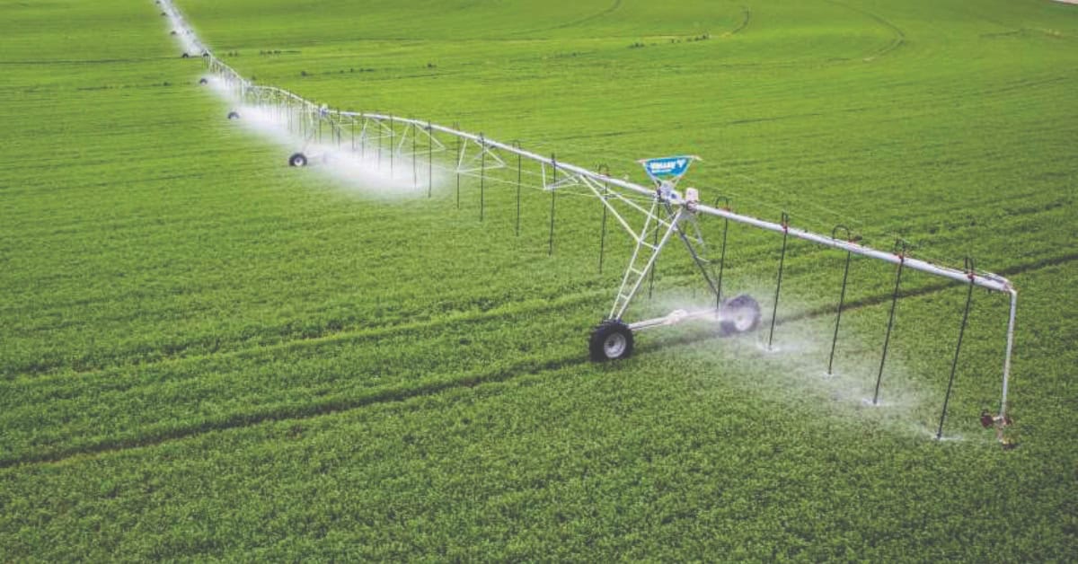 NAMPO 2026: Farmers Turn Innovation Into Long-Term Resilience