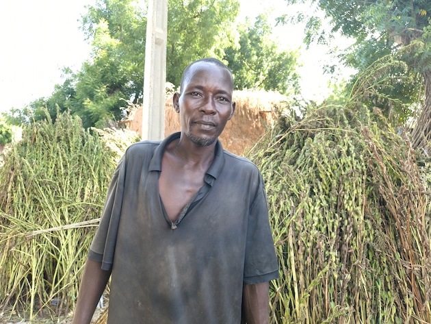 Tela Jubrin a farmer planted trees for the Great Green Wall in Jigawa state