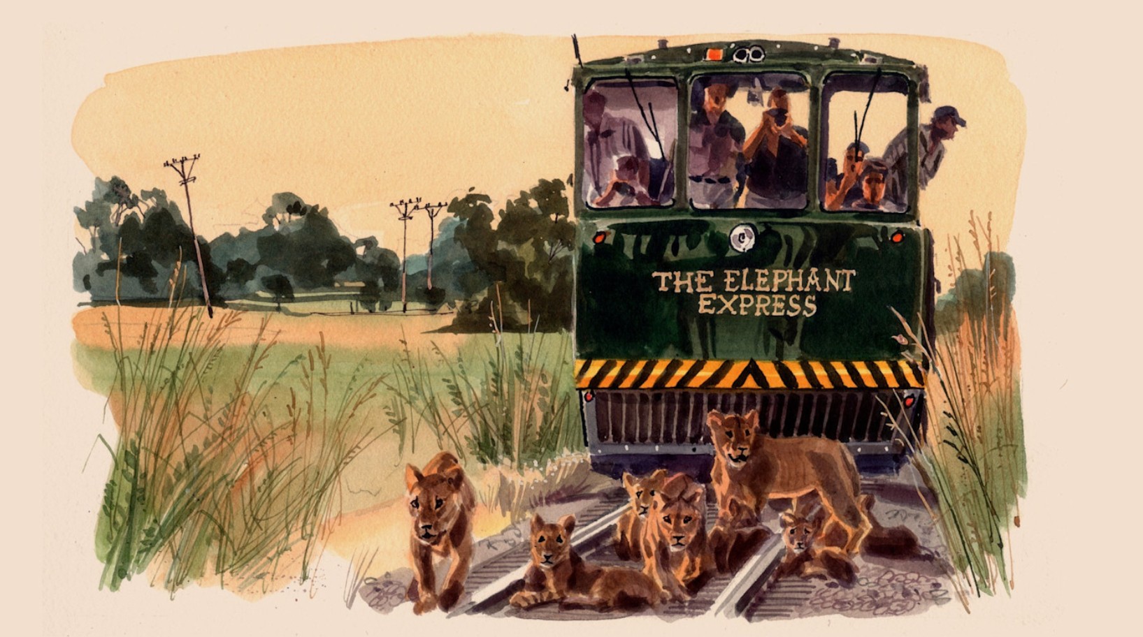 Zimbabwe Safari Train Offers Rare Wildlife Experience
