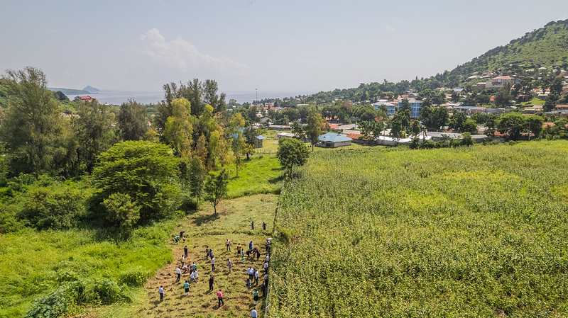 Forest And Agroforestry Research Centres