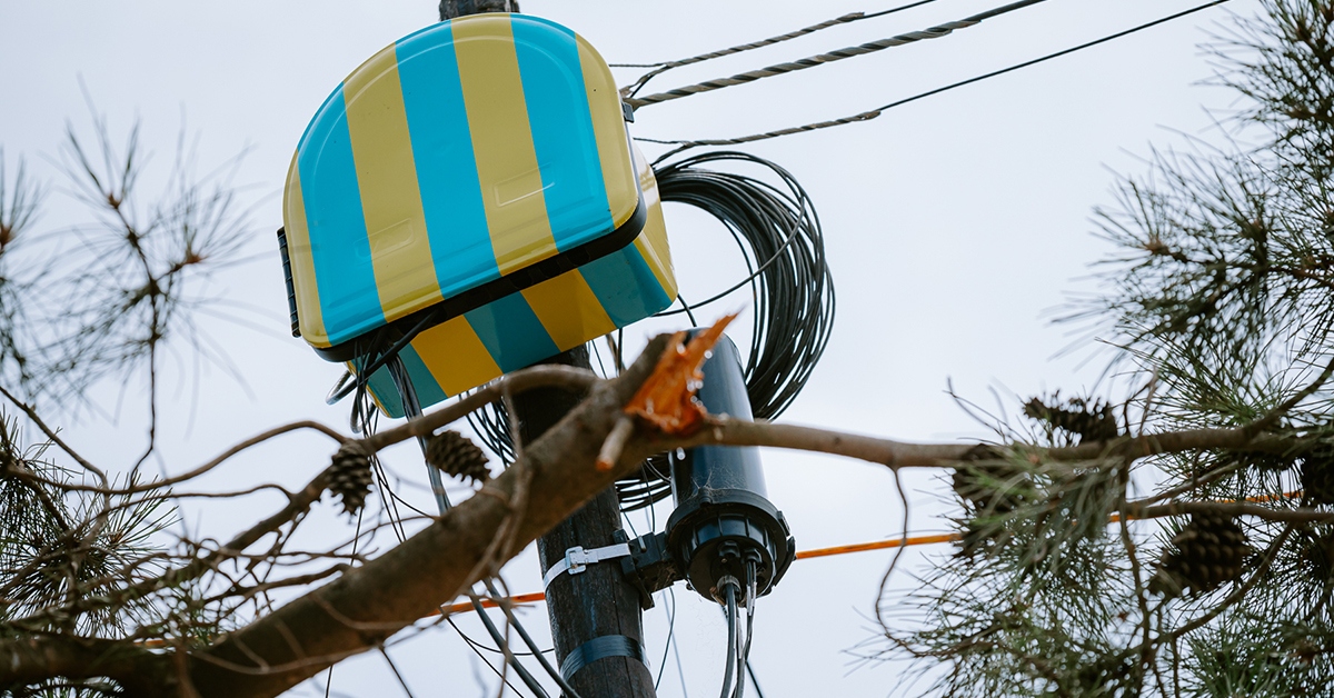 Fibre And Economic Creativity In The Townships