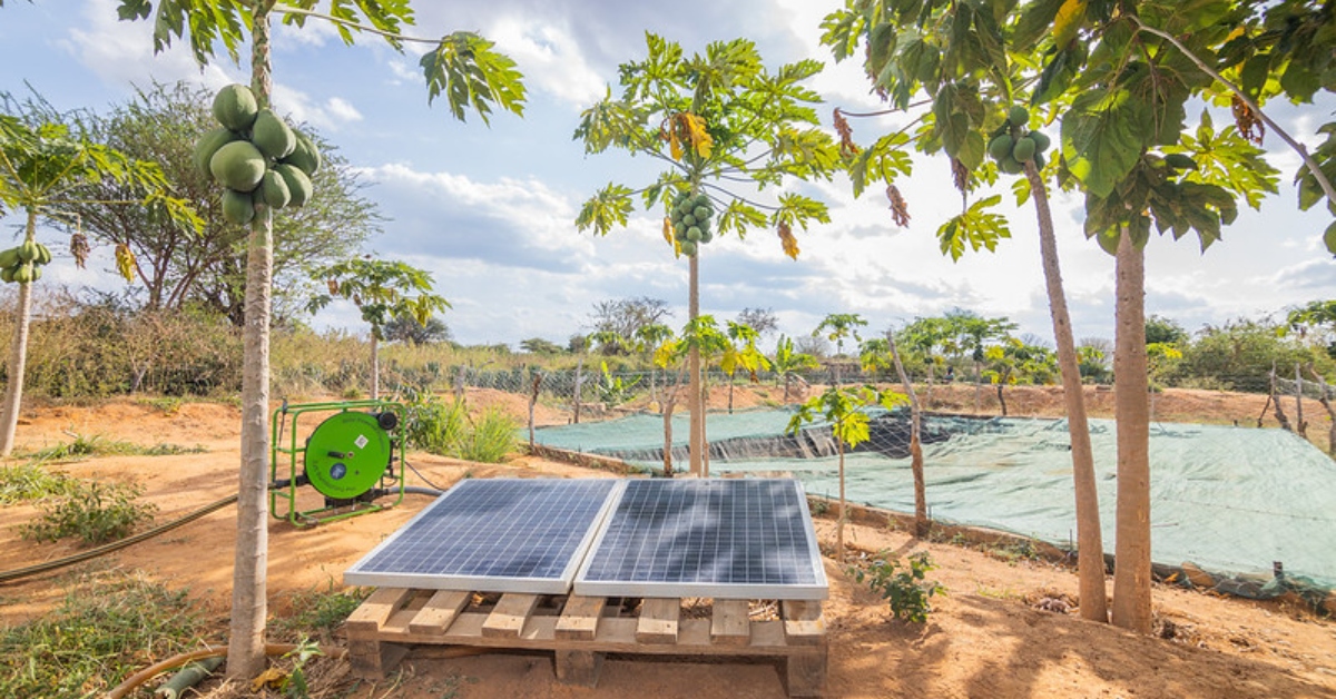Forest And Agroforestry Research Centres