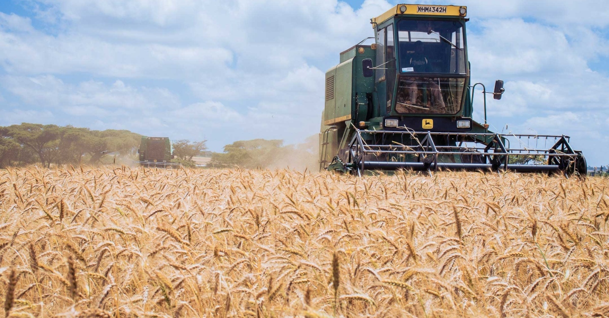 Kenya’s Agricultural Supply Chain